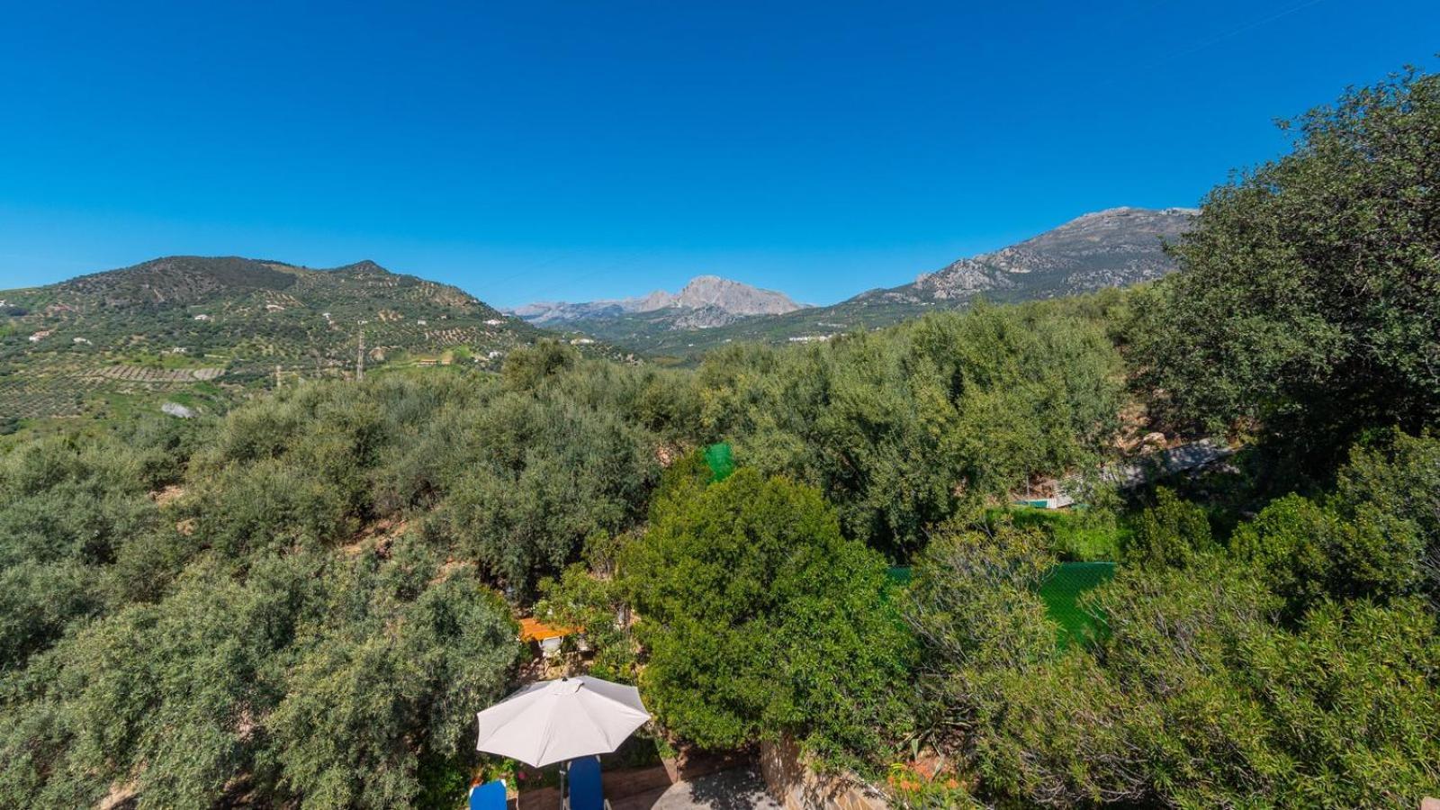 Casa Ana Maria Periana By Ruralidays Villa Eksteriør bilde
